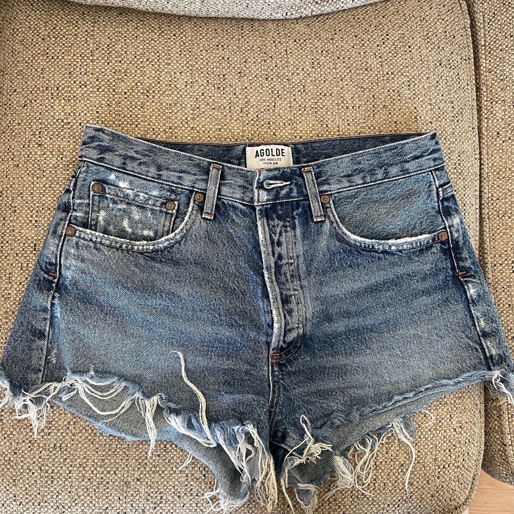 AGOLDE Parker Shorts